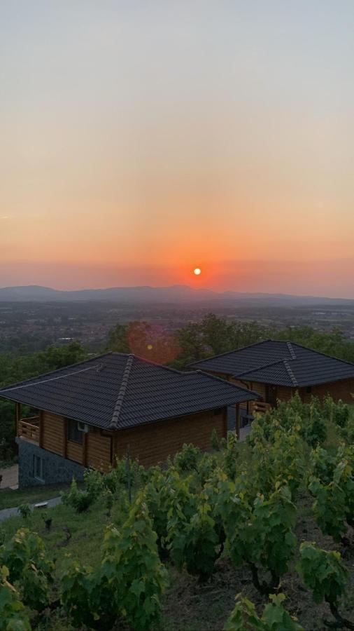 Boja Zalaska - Kameni Apartman ยาโกดินา ภายนอก รูปภาพ